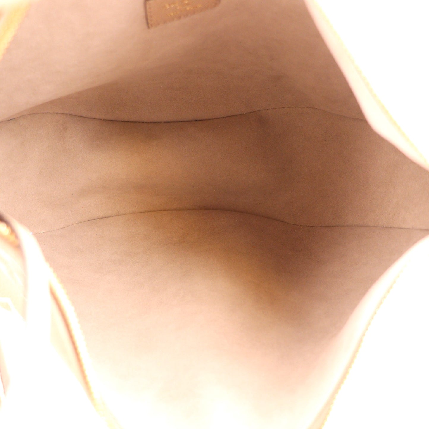 LOUIS VUITTON M46738 LOOP HOBO