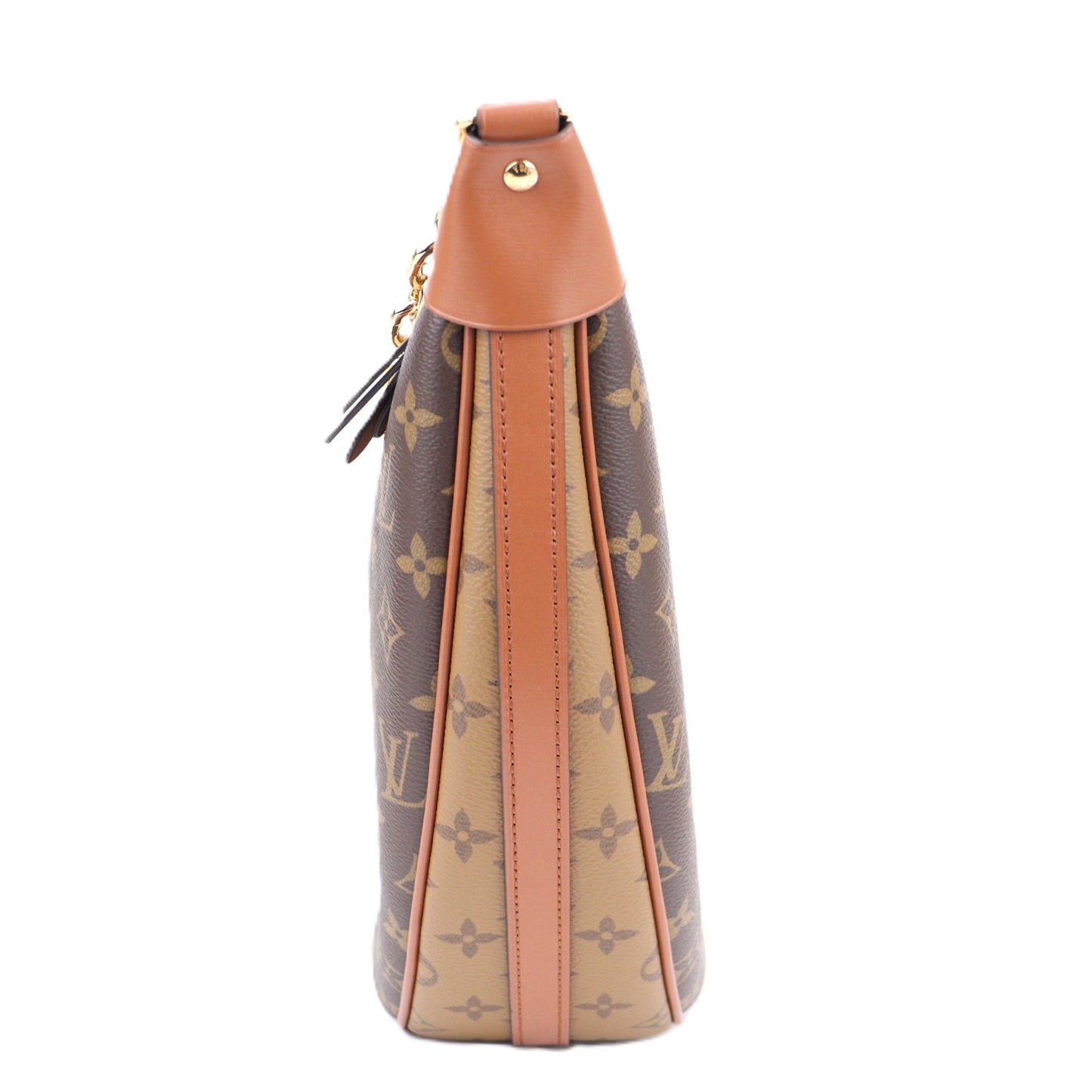 LOUIS VUITTON M46311 LOOP HOBO
