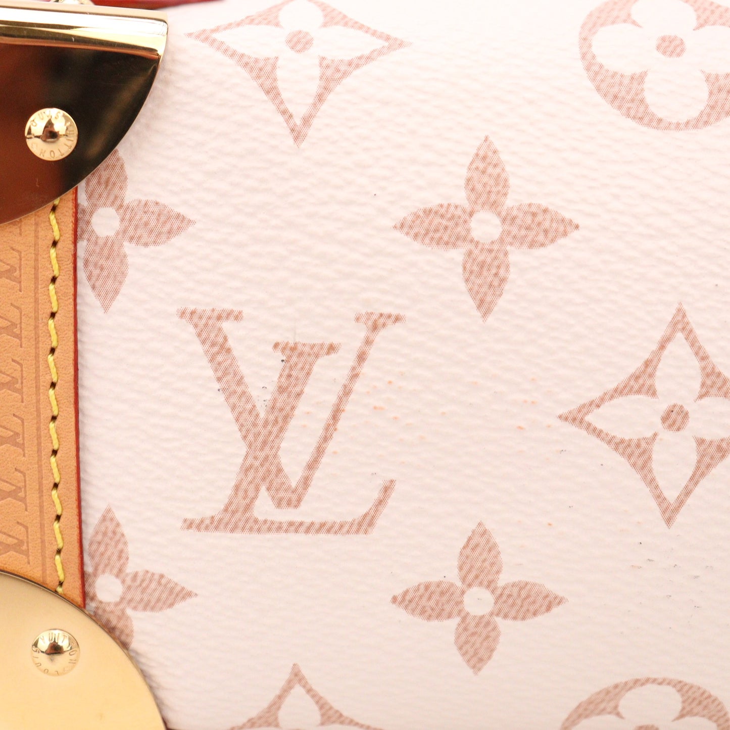 LOUIS VUITTON M46907 SIDE TRUNK