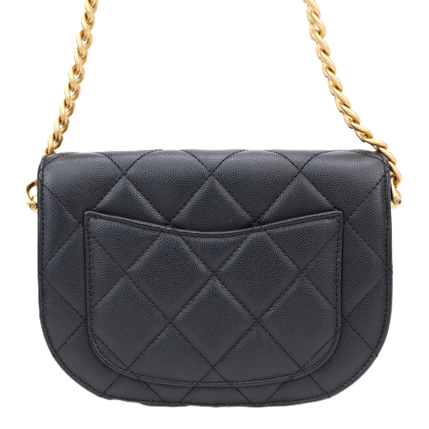 CHANEL AS2484 BAG