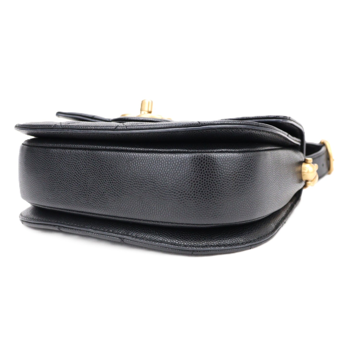 CHANEL AS2484 BAG