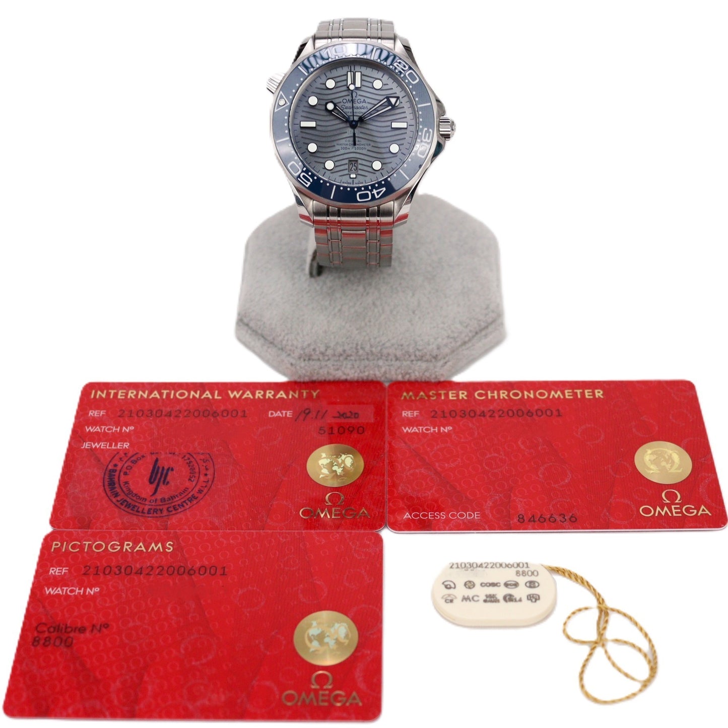 OMEGA 210.30.42.20.06.001 Seamaster Professional