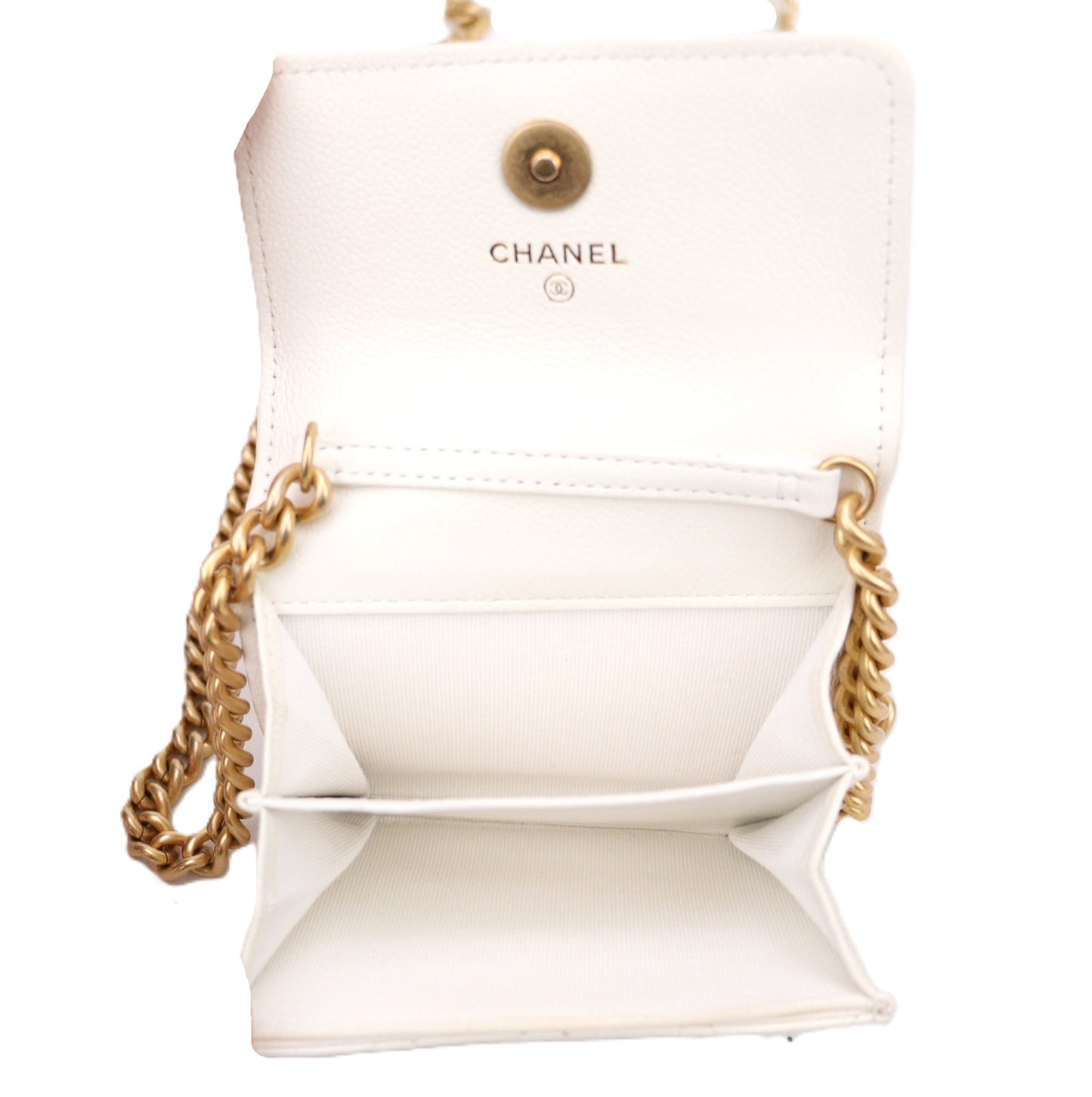 CHANEL AP2206 BAG
