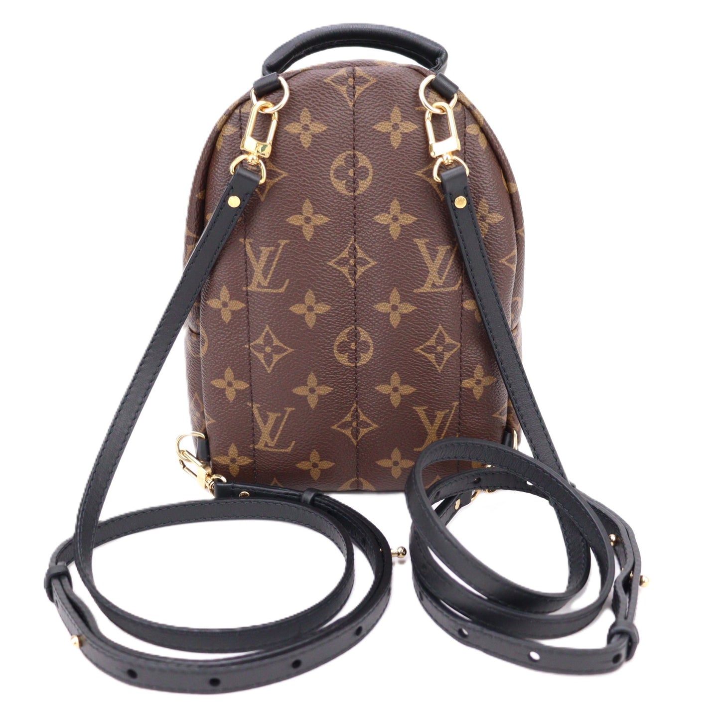 LOUIS VUITTON M41562 PALM SPLINGS MINI