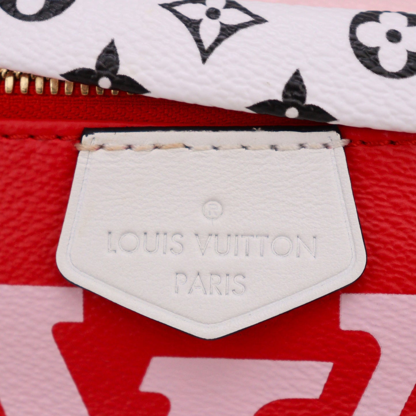 LOUIS VUITTON M44575 BUMBAG