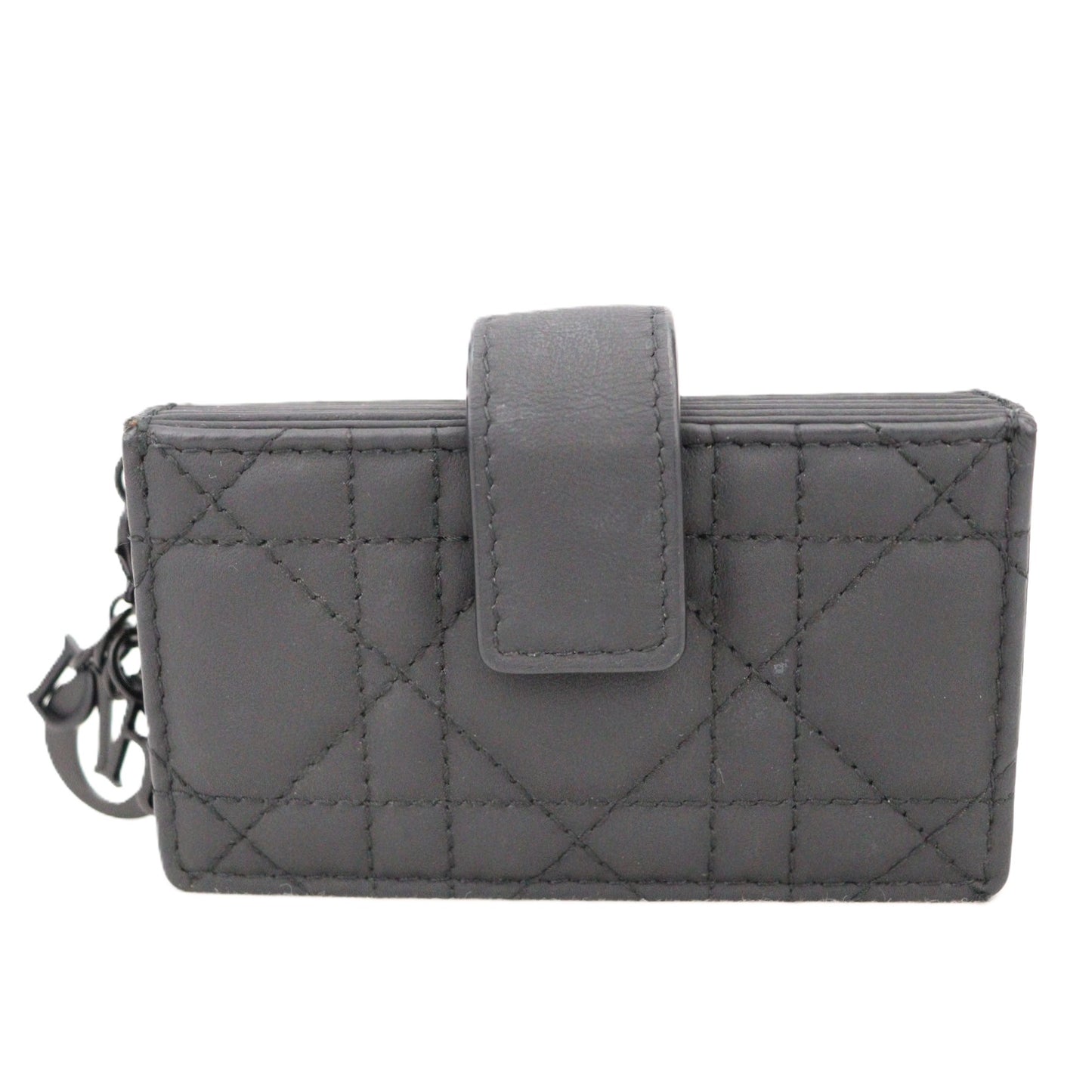 DIOR S0074SLOI LADY DIOR