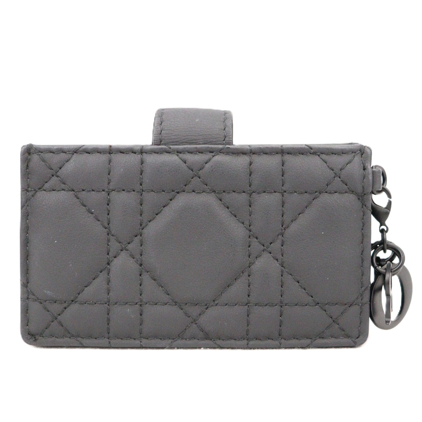 DIOR S0074SLOI LADY DIOR