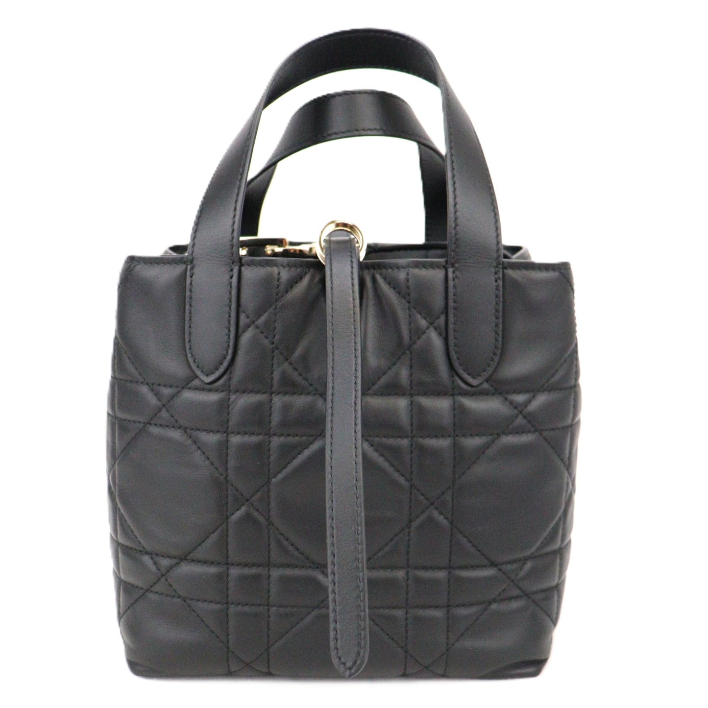 DIOR M2835OSNW TOUJOURS VERTICAL SMALL