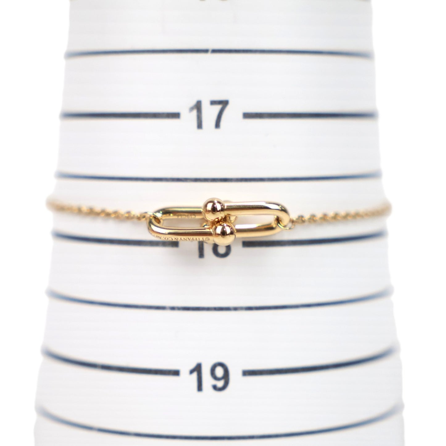 TIFFANY & Co. 75224931 HardWear Double Link Bracelet