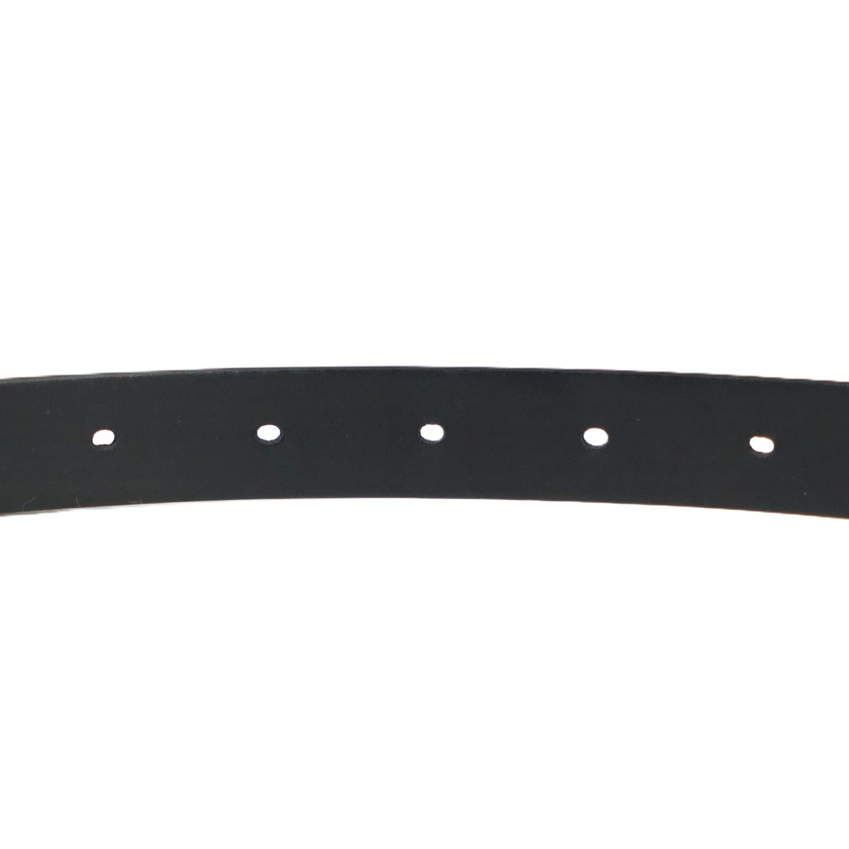 DIOR B0445CWGH SADDLE 20MM 80 BELT