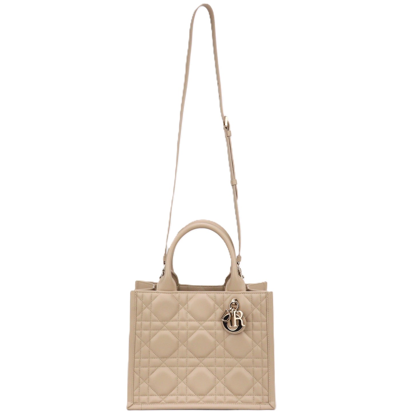DIOR M1325OWHP BOOK TOTE