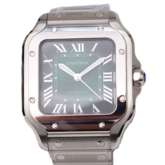Cartier WSSA0061 Santos