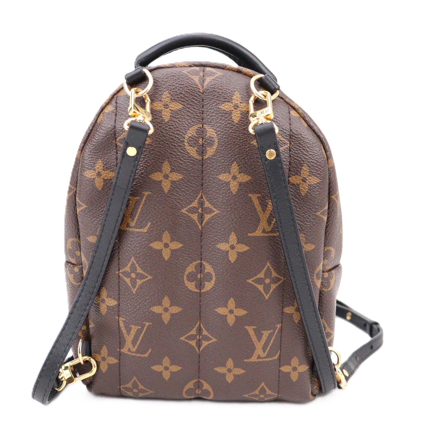 LOUIS VUITTON M44873 PALM SPLINGS MINI