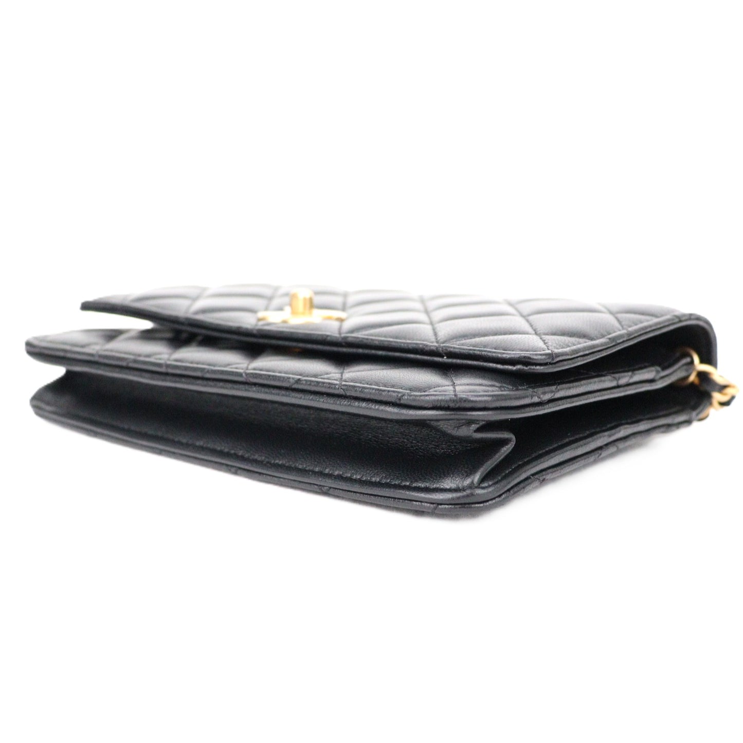 CHANEL AP1450 WALLET ON CHAIN