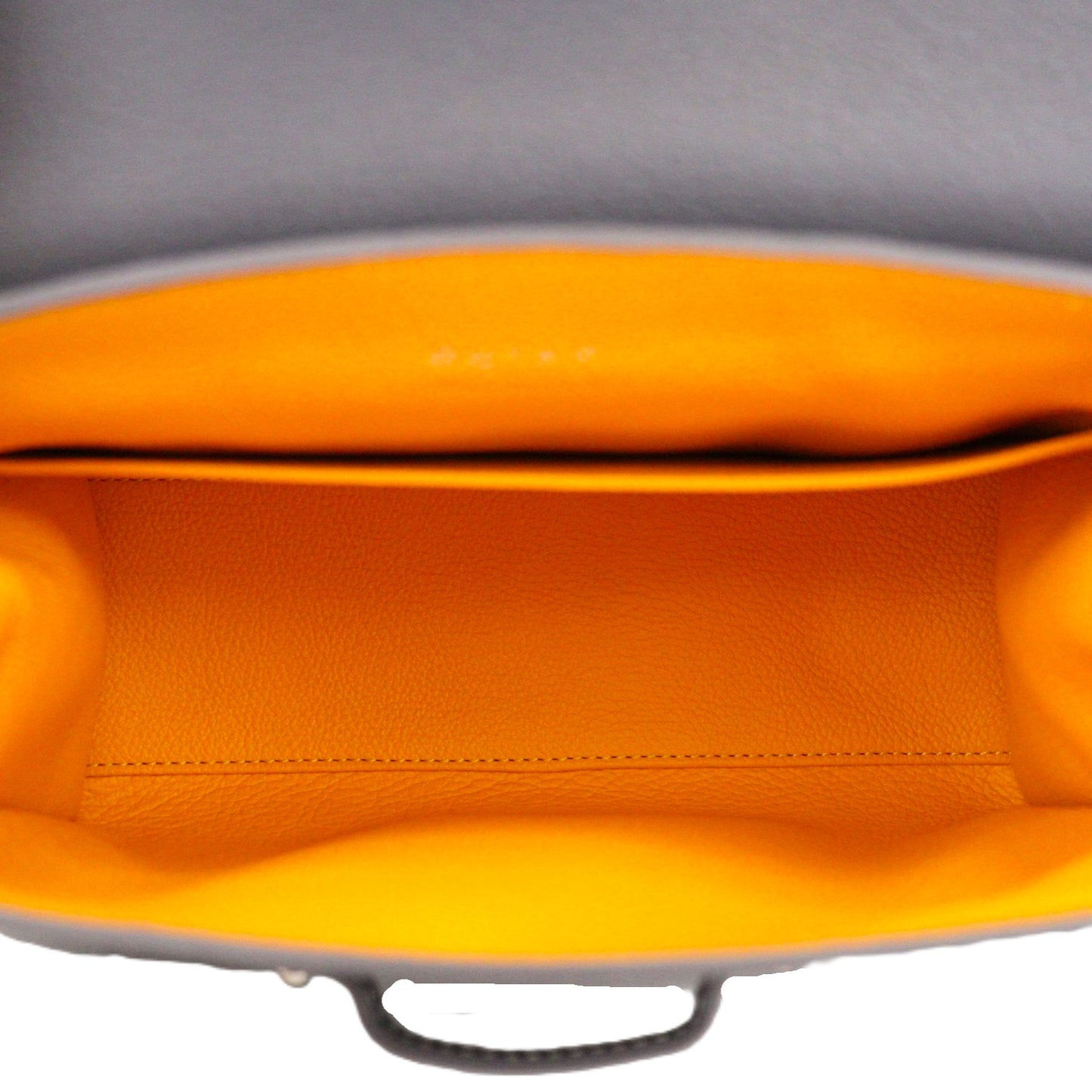 GOYARD SAIGON MINI HANDBAG