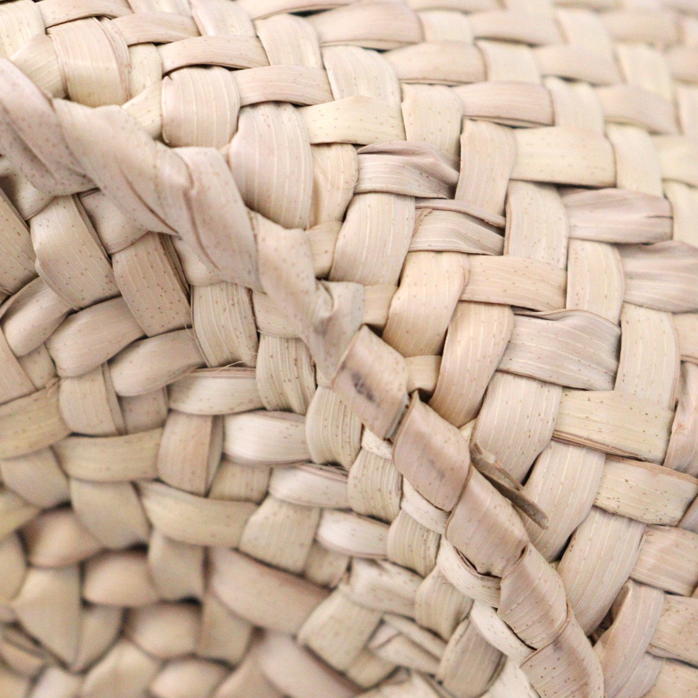 CELINE 113832EFA TEEN CELINE CLASSIC PANIER TOTE BAG