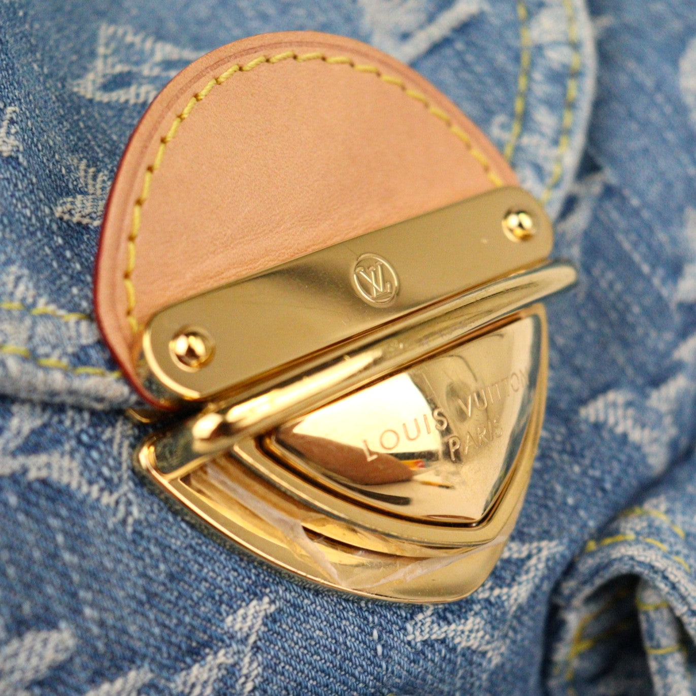 LOUIS VUITTON M46836 VENICE BACKPACK