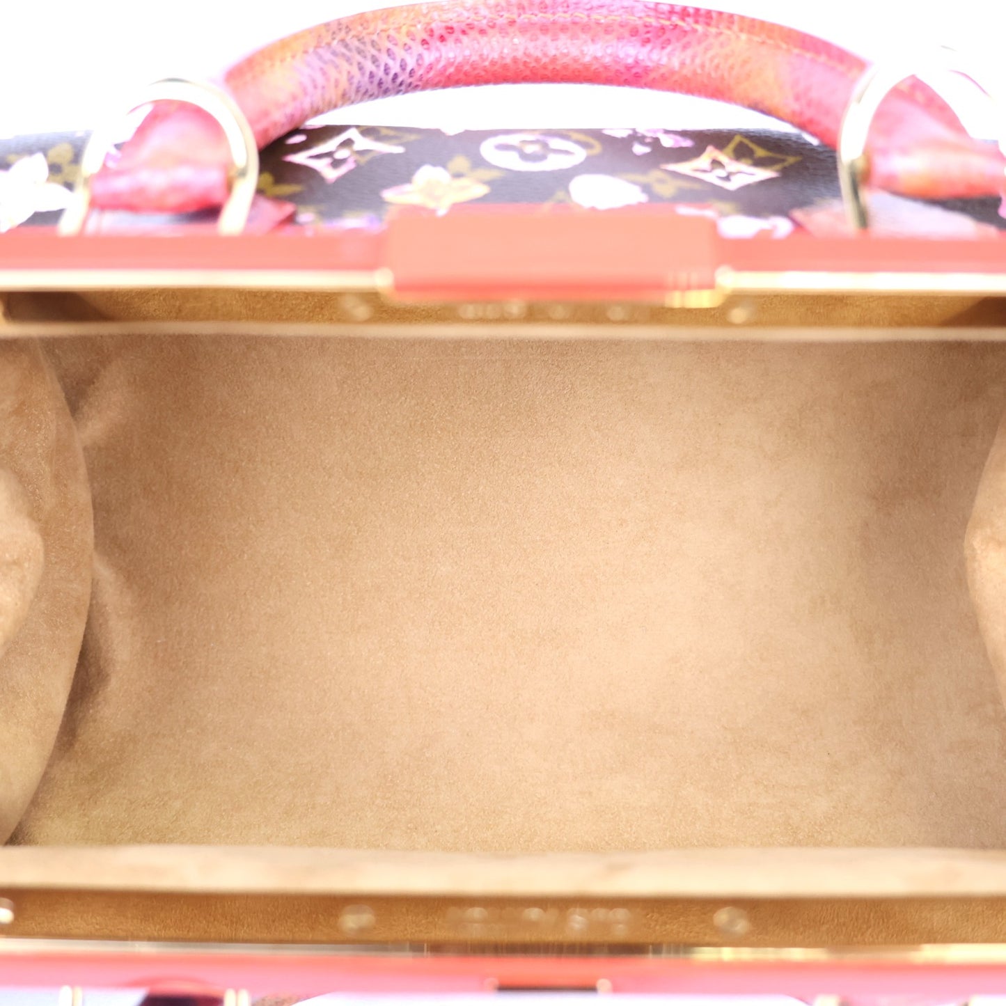 LOUIS VUITTON M95730 PAPILLON FRAME HANDBAG