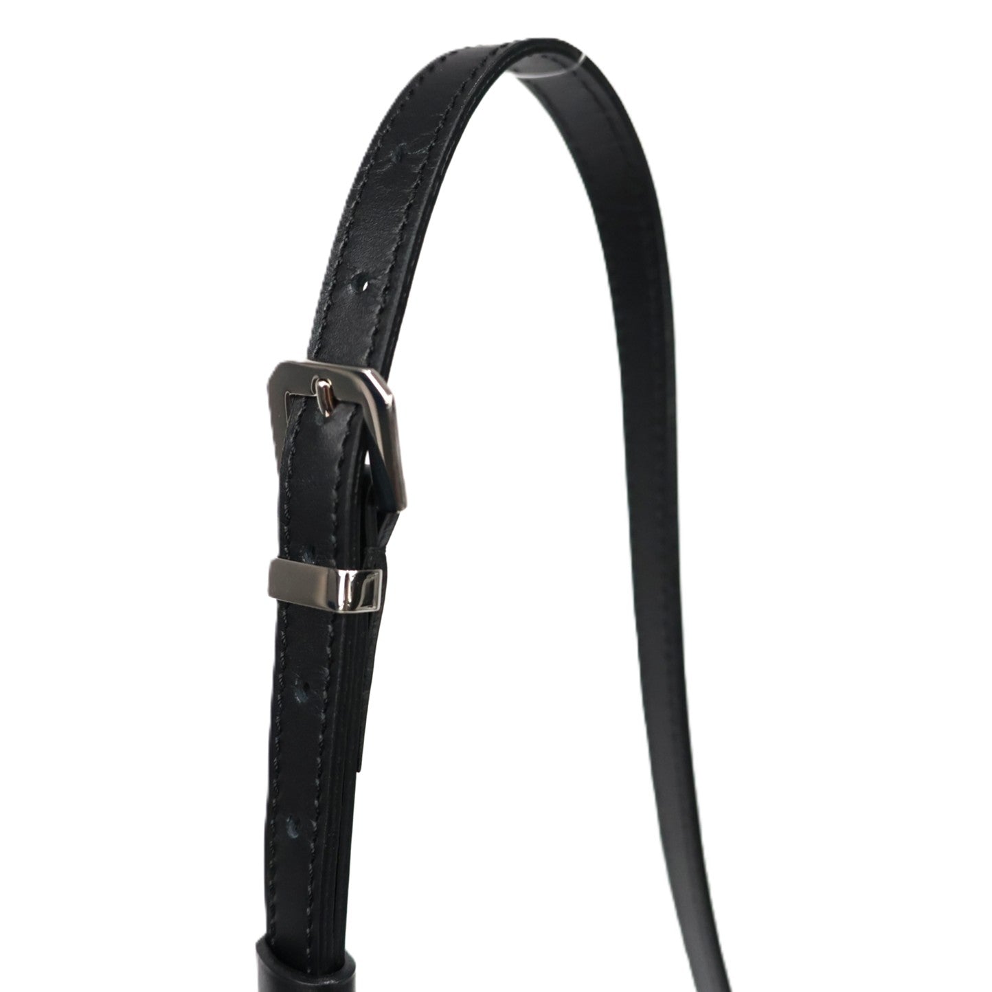 GOYARD CAP VERT PM CROSSBODY BAG