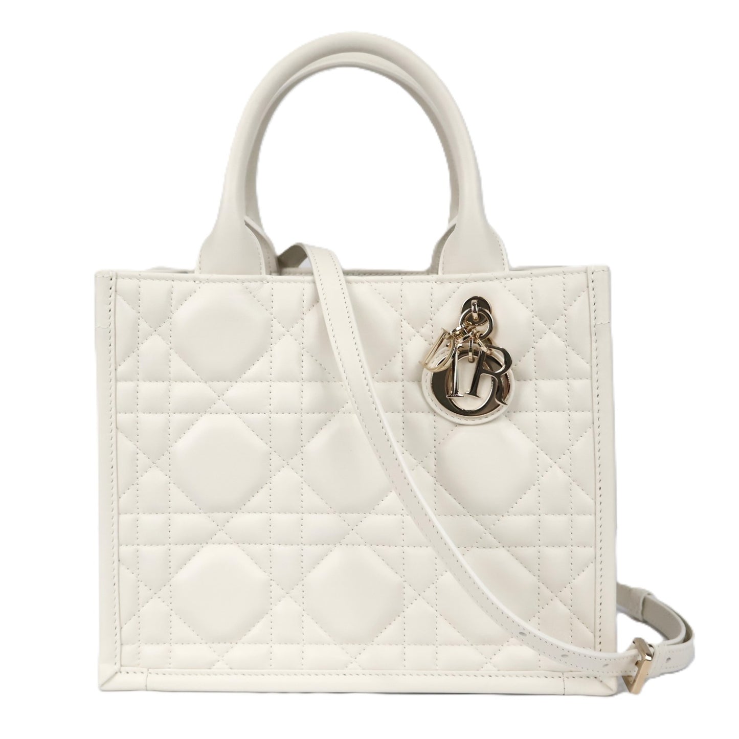 DIOR M1325OWHP BOOK TOTE SMALL TOTE BAG