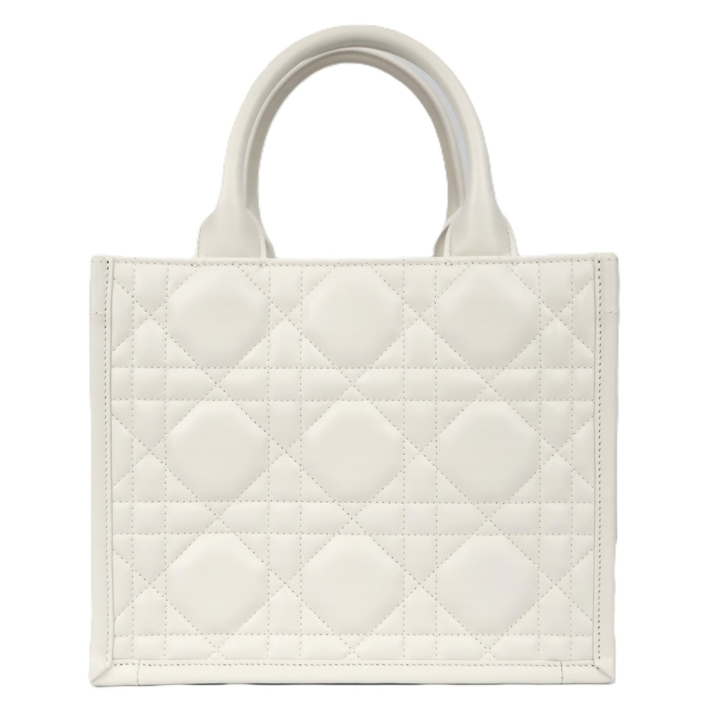 DIOR M1325OWHP BOOK TOTE SMALL TOTE BAG