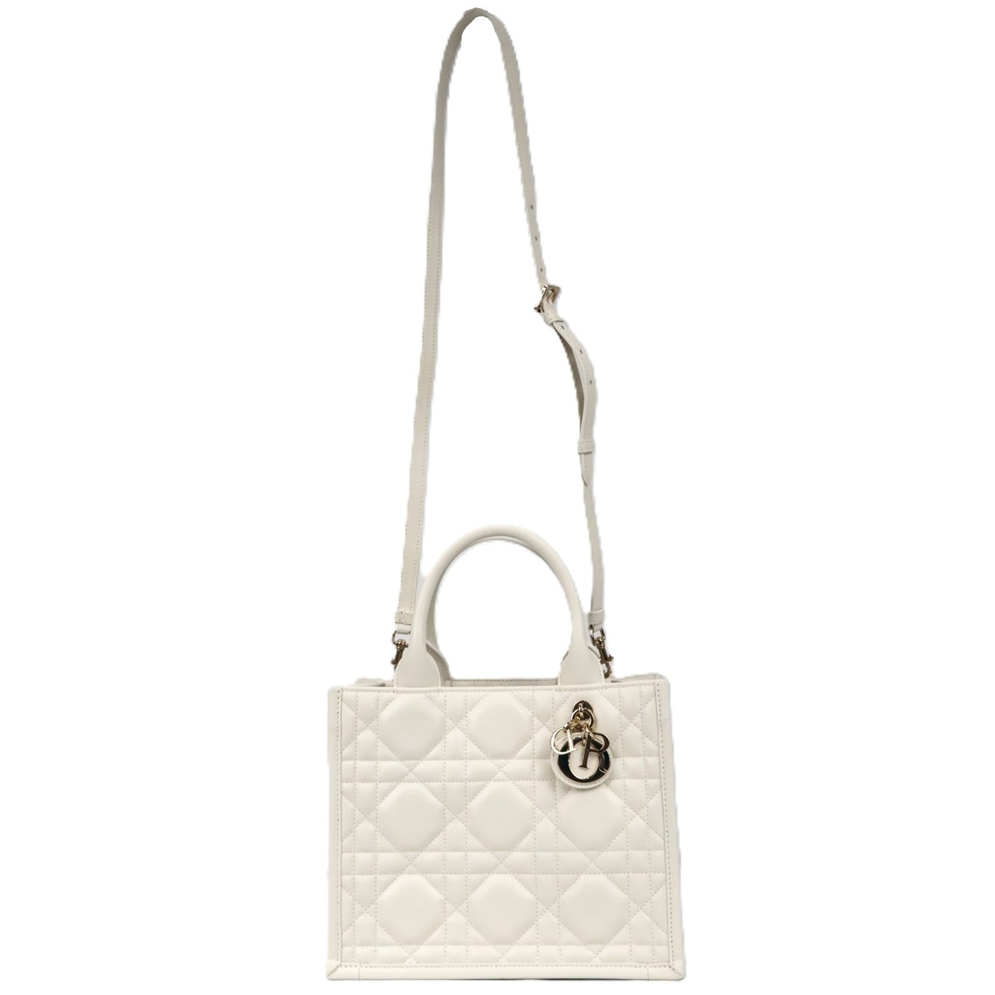 DIOR M1325OWHP BOOK TOTE SMALL TOTE BAG