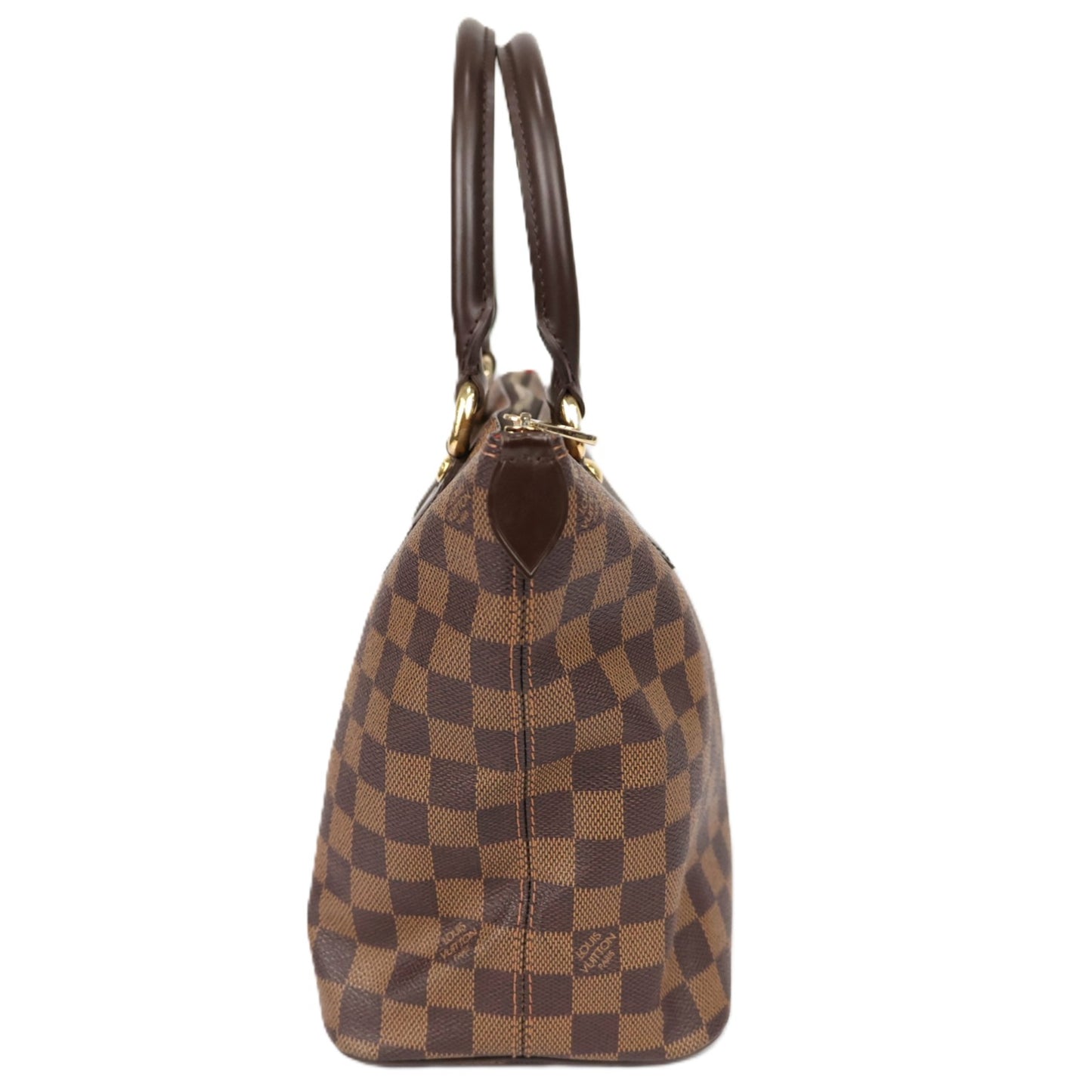 LOUIS VUITTON N51183 SALEYA PM TOTE BAG