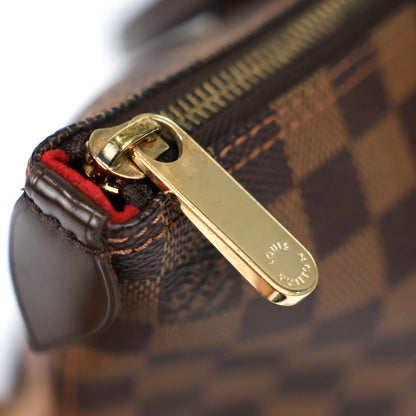LOUIS VUITTON N51183 SALEYA PM TOTE BAG