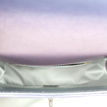 CHANEL AS2846 MINI BAG