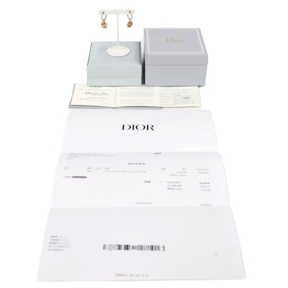 DIOR JRDV95057 Rose des Vents Earrings