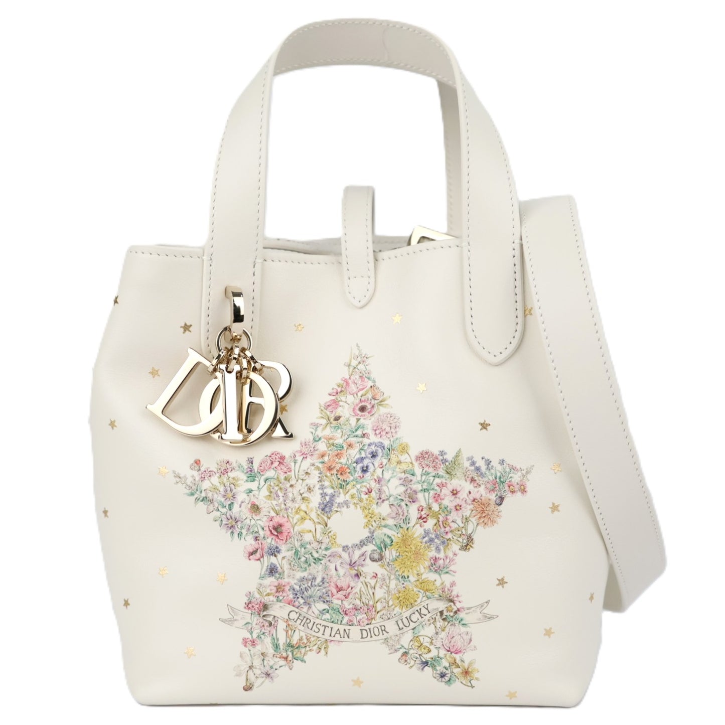 DIOR M28350SYR TOUJOURS VERTICAL SMALL HANDBAG