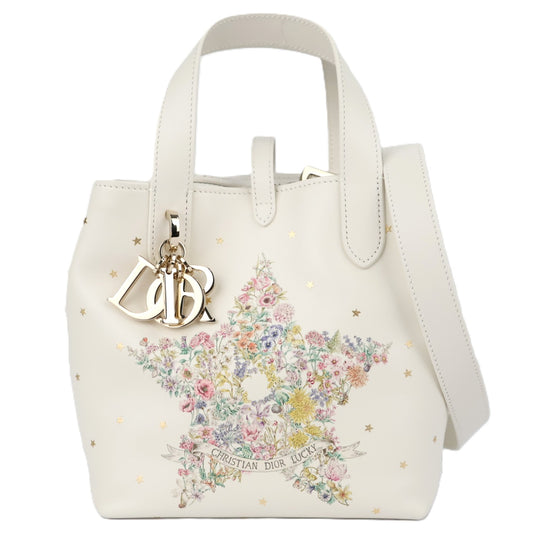 DIOR M28350SYR TOUJOURS VERTICAL SMALL HANDBAG
