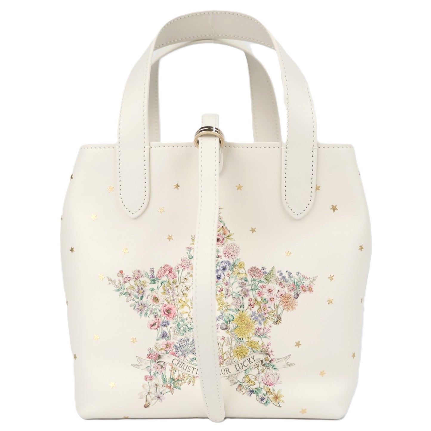 DIOR M28350SYR TOUJOURS VERTICAL SMALL HANDBAG