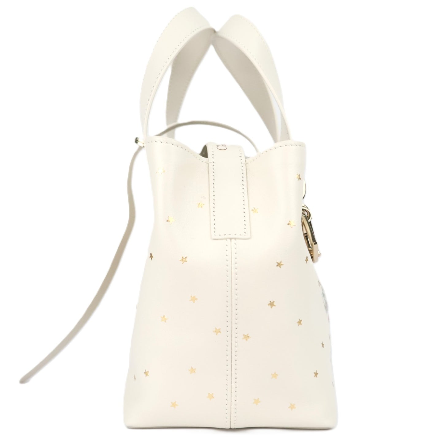DIOR M28350SYR TOUJOURS VERTICAL SMALL HANDBAG