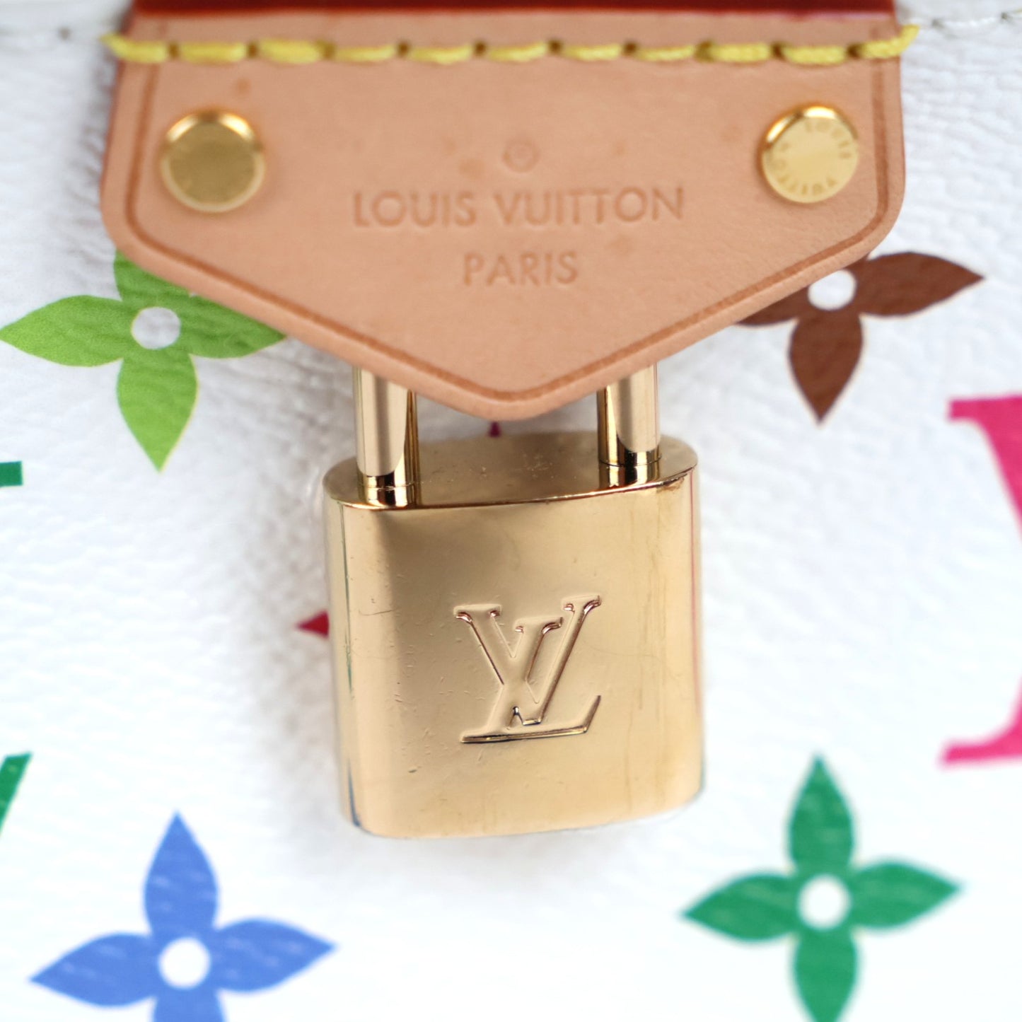 LOUIS VUITTON M13662 VANITY CHAIN POUCH VANITY BAG