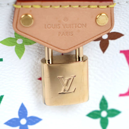 LOUIS VUITTON M13662 VANITY CHAIN POUCH VANITY BAG