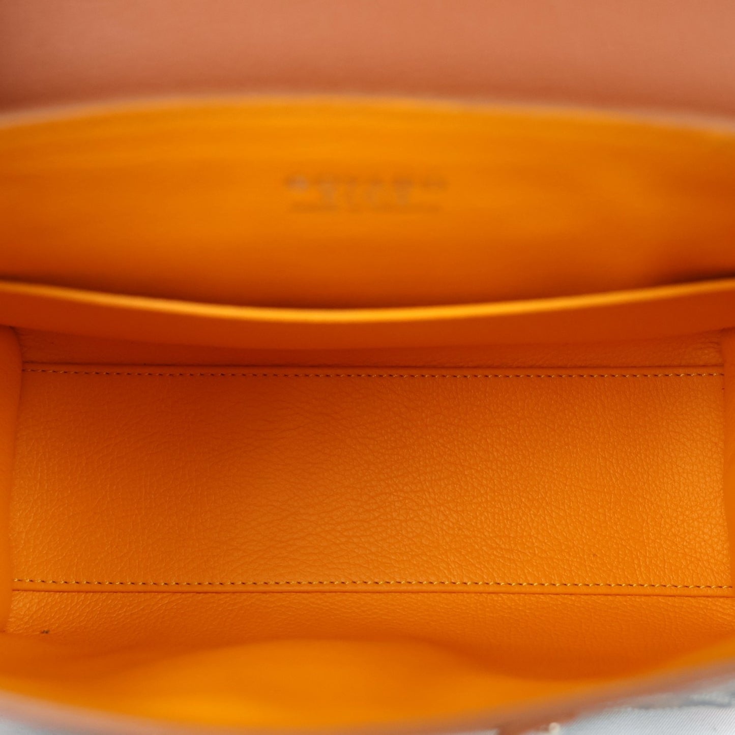 GOYARD SAIGON MINI HANDBAG