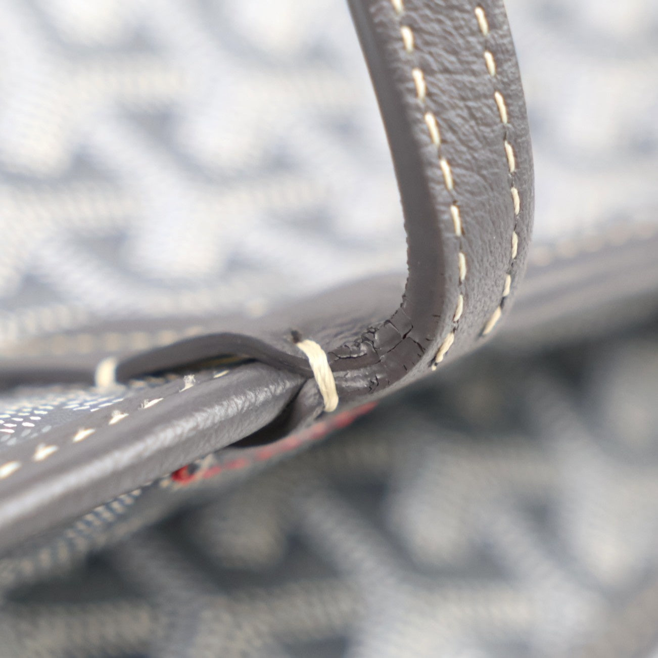 GOYARD ARTOIS PM TOTE BAG