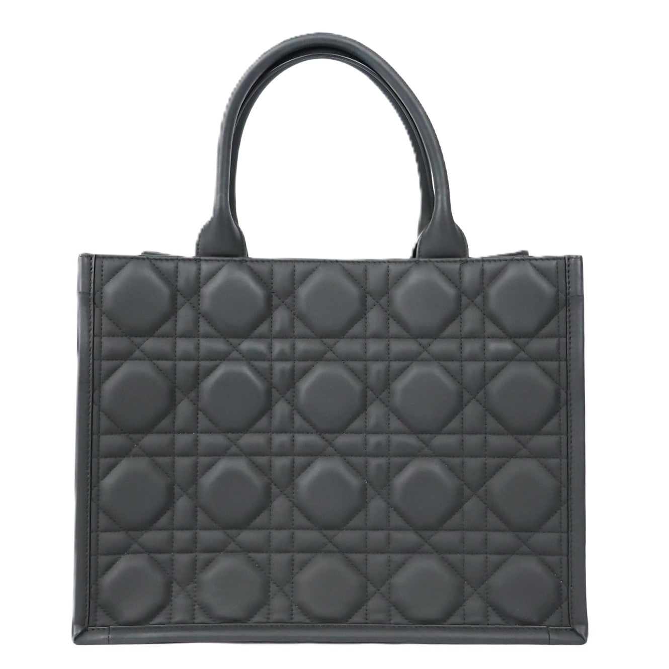 DIOR M1324SLOI BOOK TOTE MEDIUM TOTE BAG