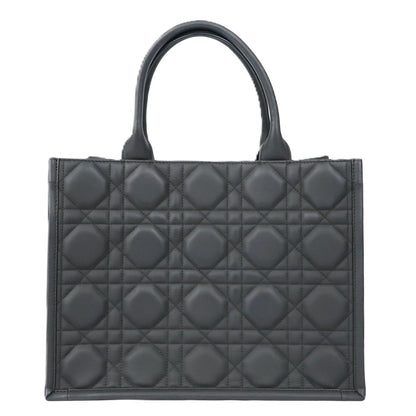 DIOR M1324SLOI BOOK TOTE MEDIUM TOTE BAG