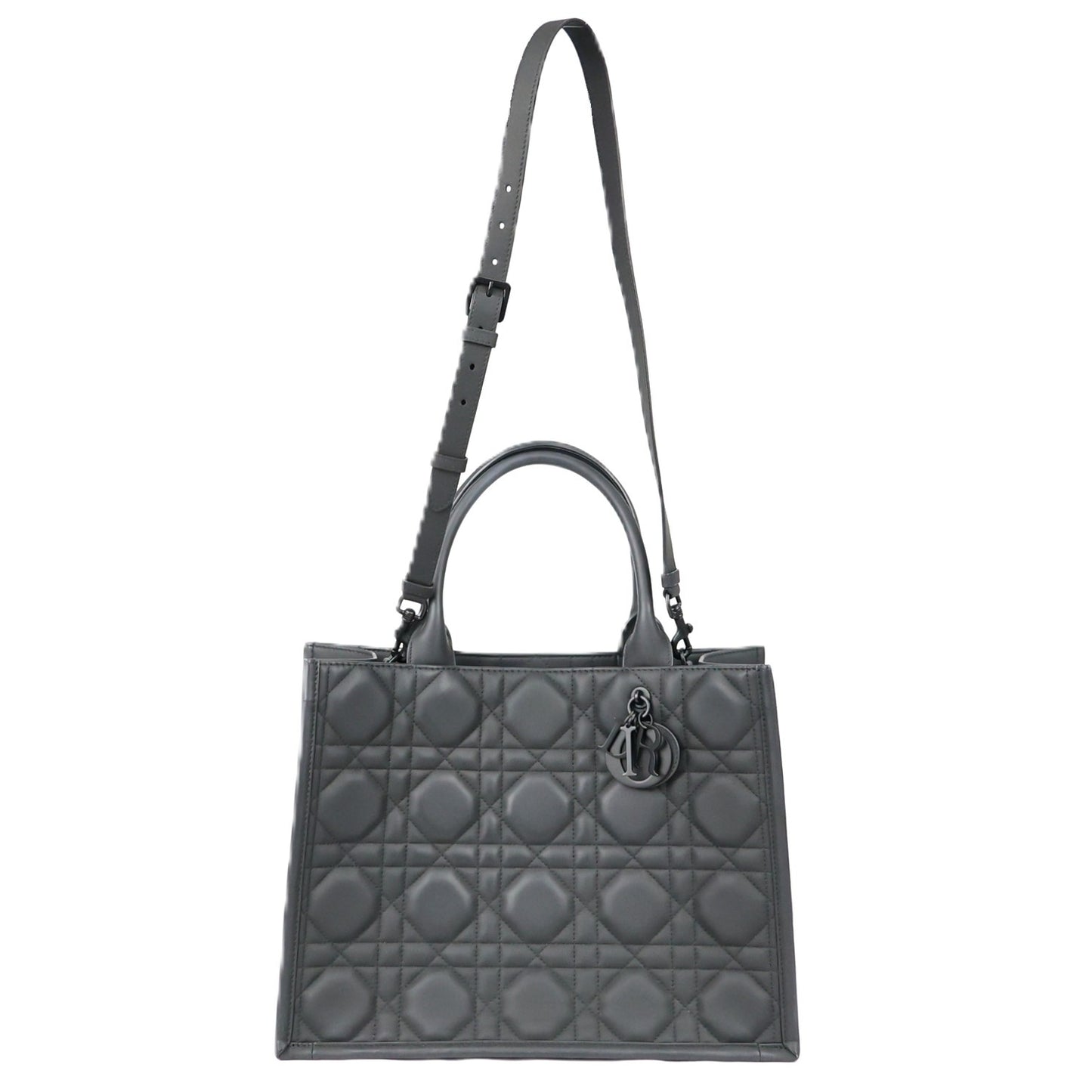 DIOR M1324SLOI BOOK TOTE MEDIUM TOTE BAG