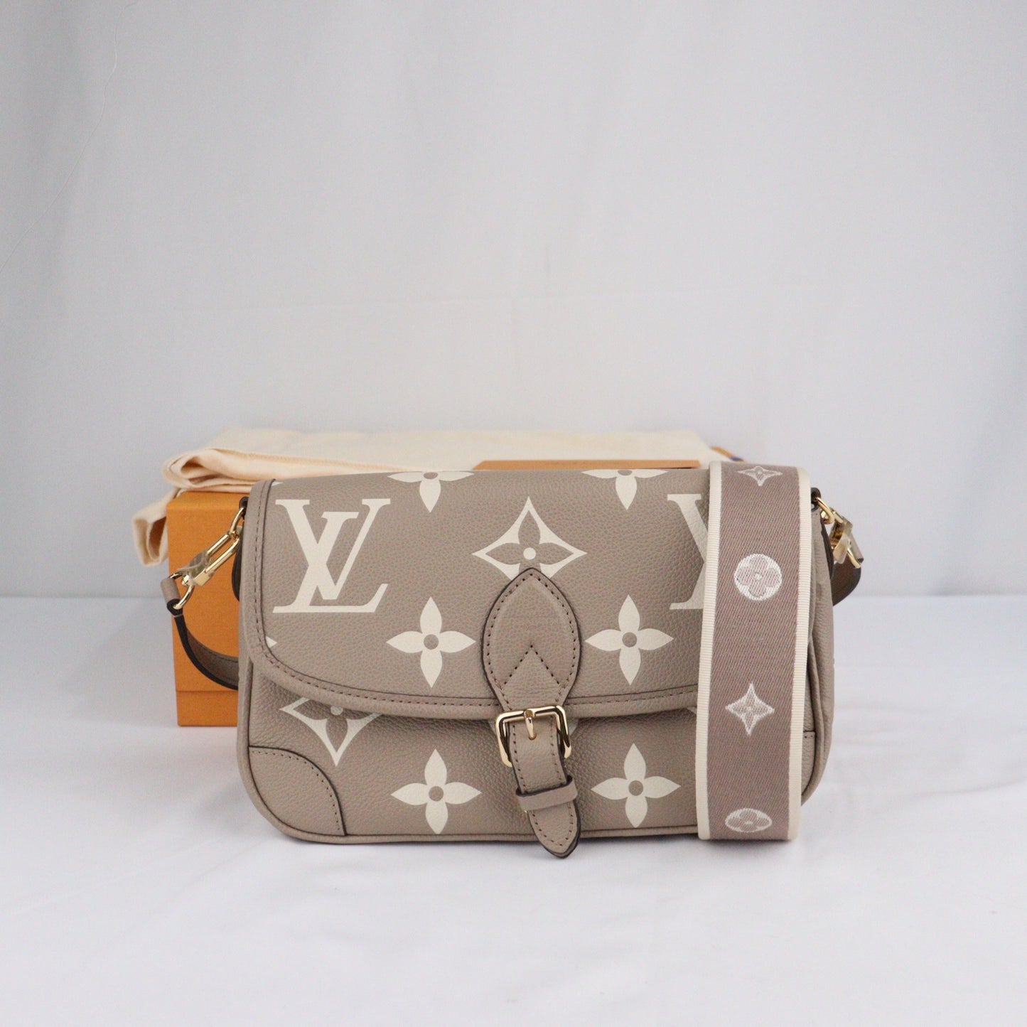 LOUIS VUITTON M46583 DIANE PM CROSSBODY BAG