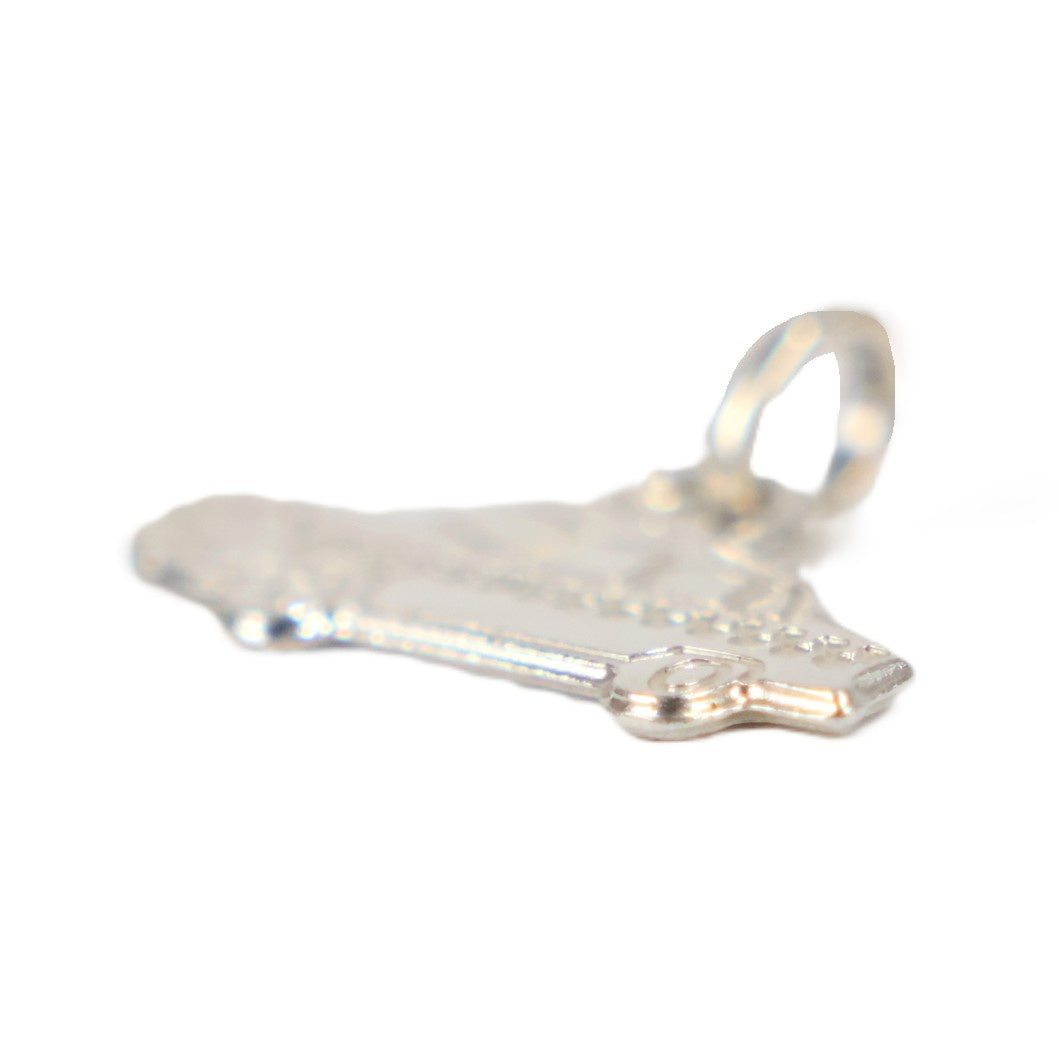 TIFFANY & Co. Taxi + Spring Ring Pendant