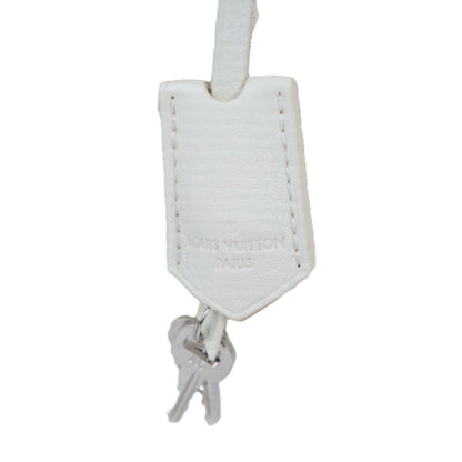 LOUIS VUITTON M40699 LOCK IT HANDBAG