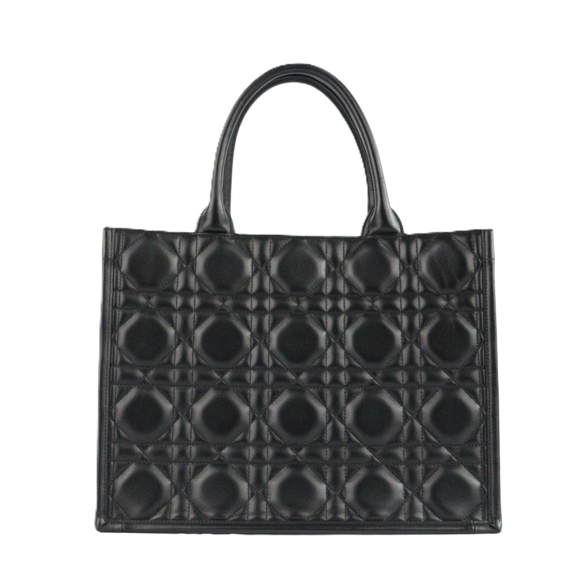 DIOR M1324OWHP BOOK TOTE MEDIUM TOTE BAG