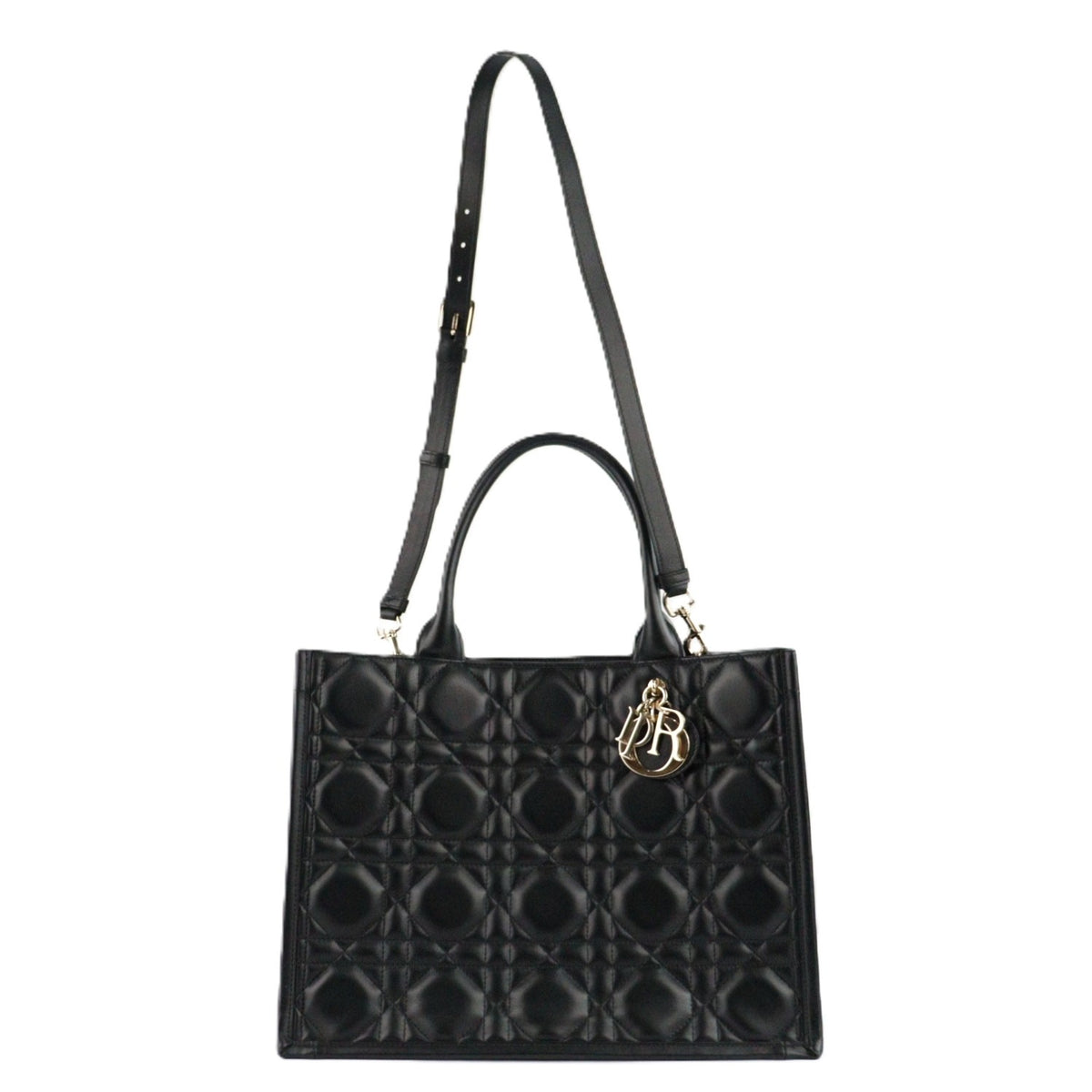 DIOR M1324OWHP BOOK TOTE MEDIUM TOTE BAG