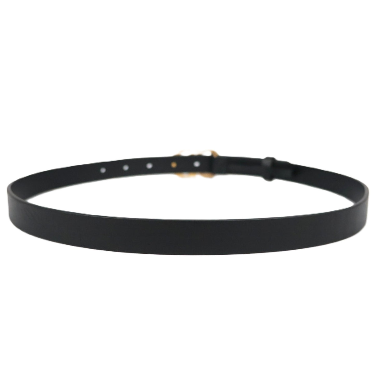 DIOR B0445CWGH SADDLE 20MM 80 BELT